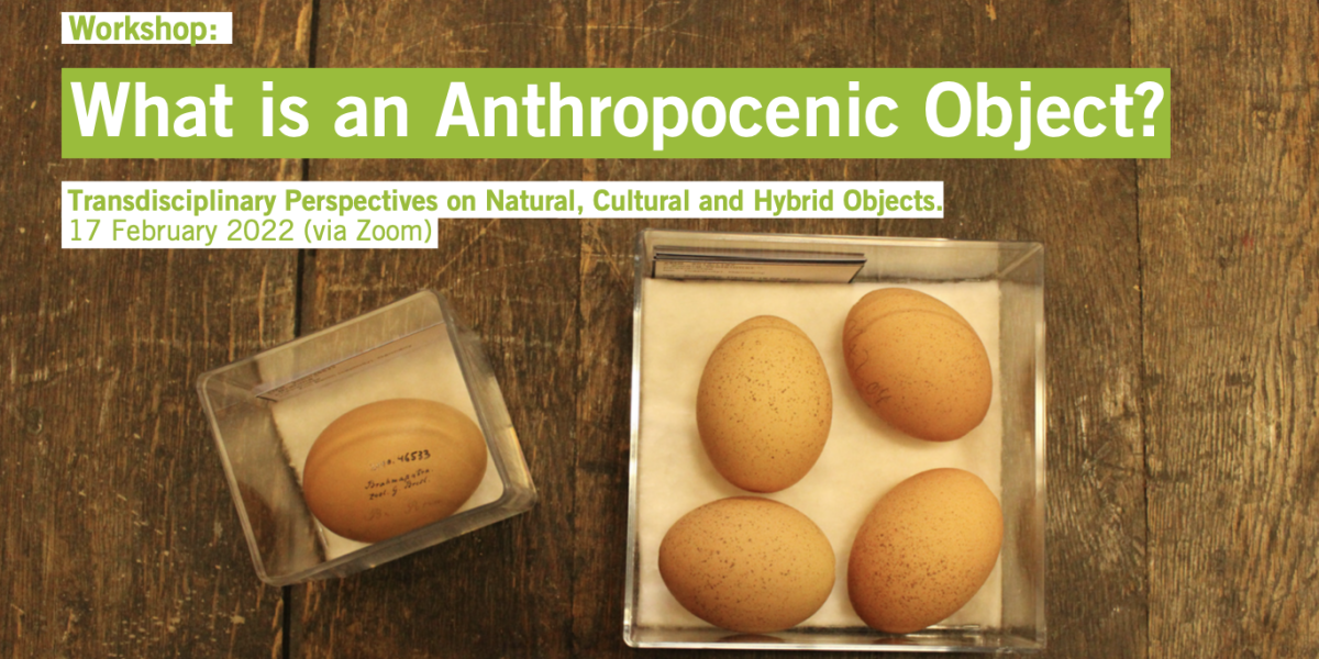 Event image ''what is an anthropocenic object'' showing eggs in a box