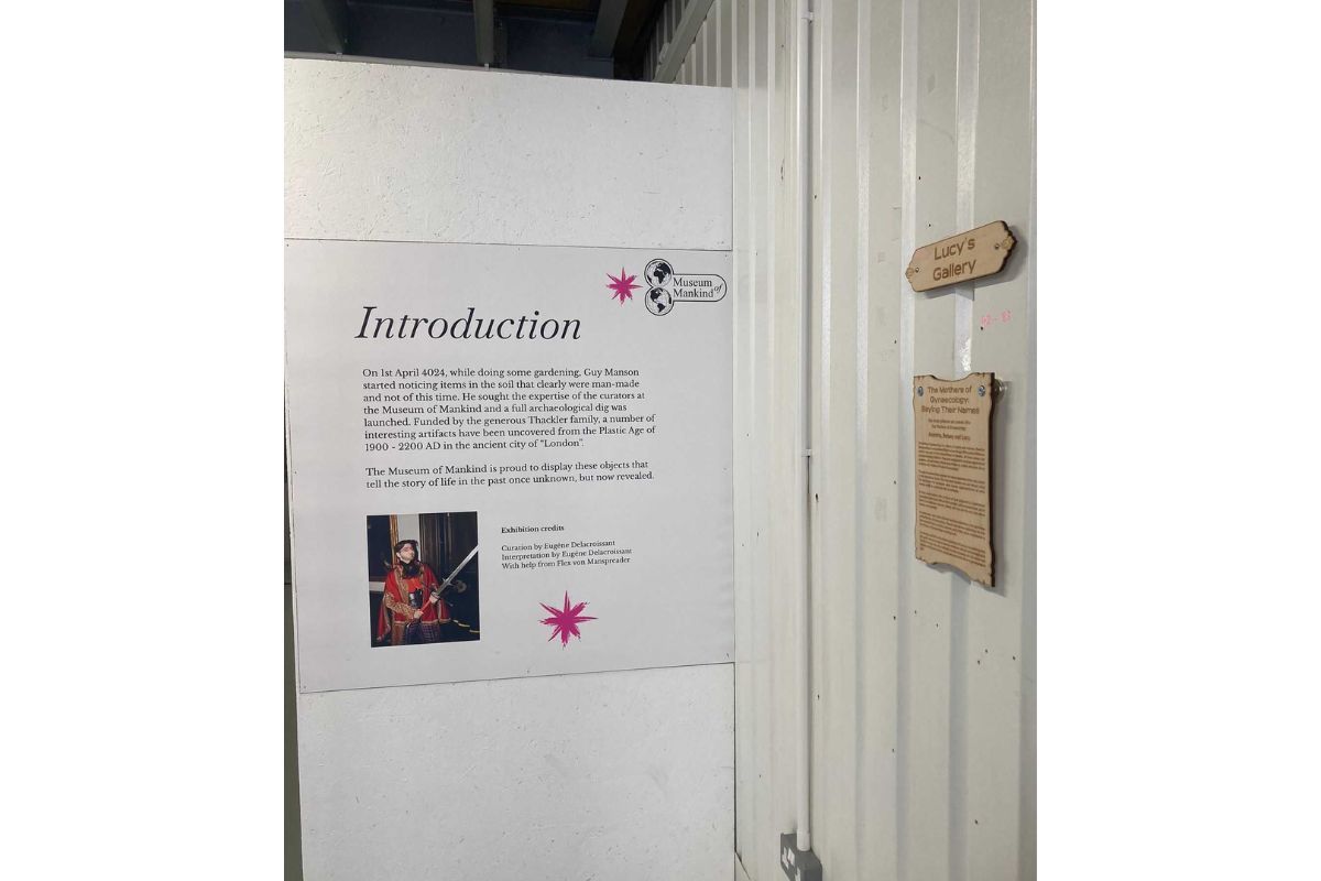 The introduction to the Mothers of Gynaecology exhibition
