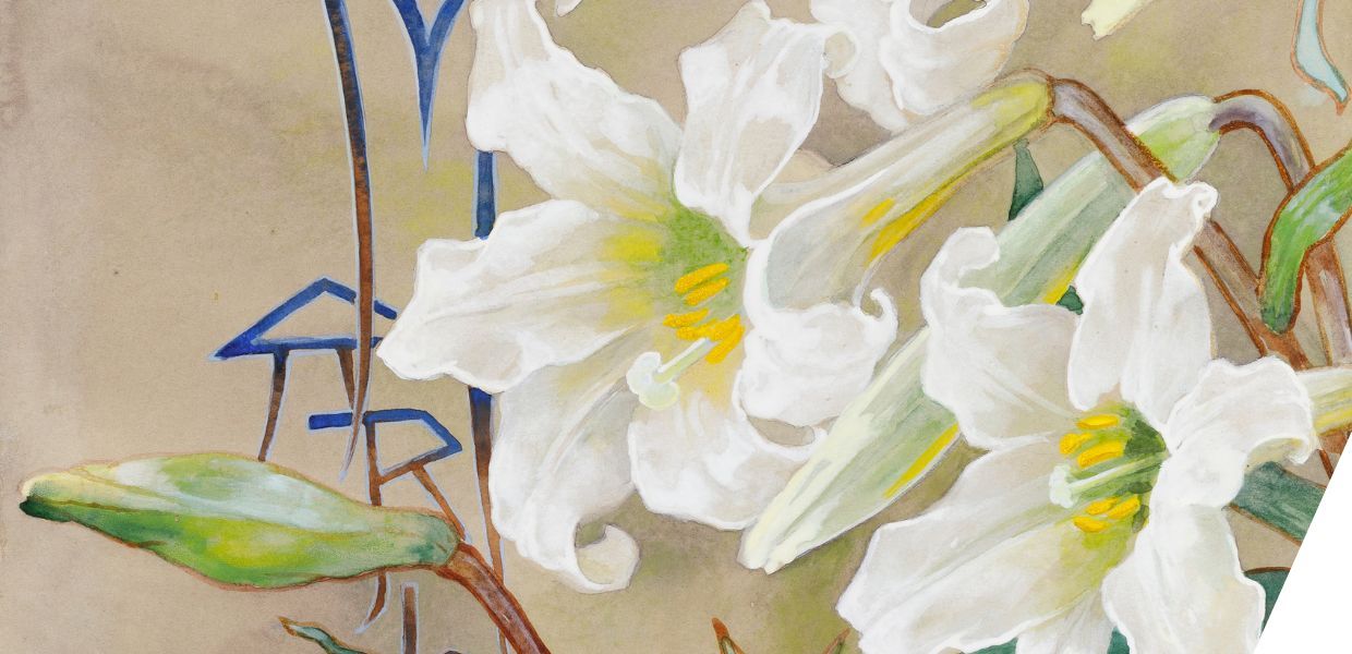 Lillies