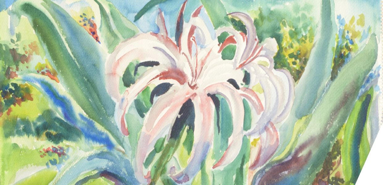 Watercolor painting of a white and pink tropical flower with long petals and green leaves in a bright garden.