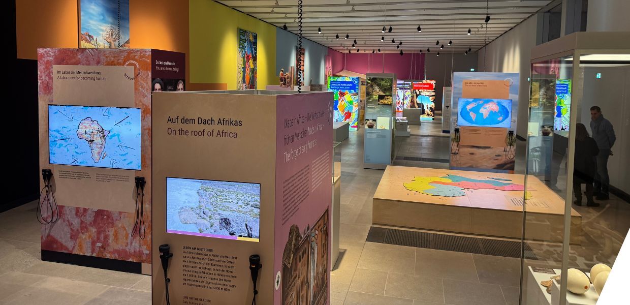 A room with bright and colourful display boxes and other elements.