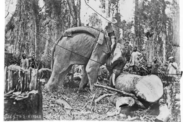 The Case for logging