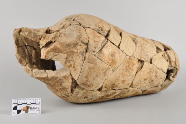 Publishing 3D collections in small institutions: the RAMS Museum