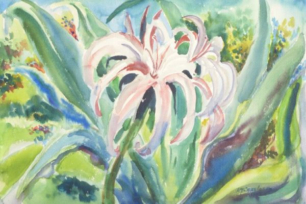 Apply for a 2025 Europeana Editorial Grant