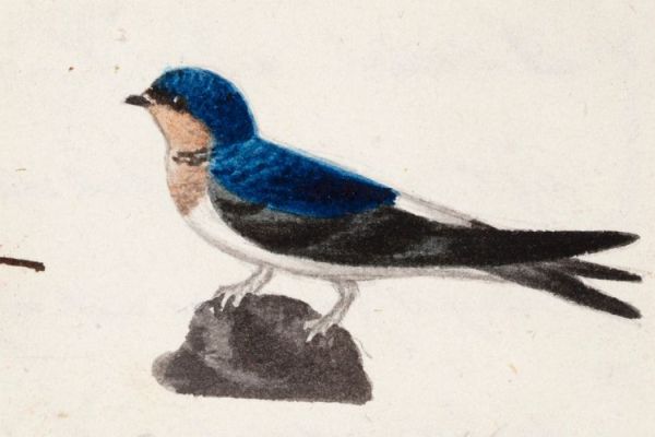 Europeana announces new high-profile Ambassadors Programme and Finnish Pilot 