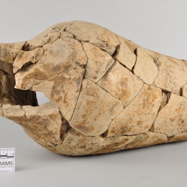 Publishing 3D collections in small institutions: the RAMS Museum