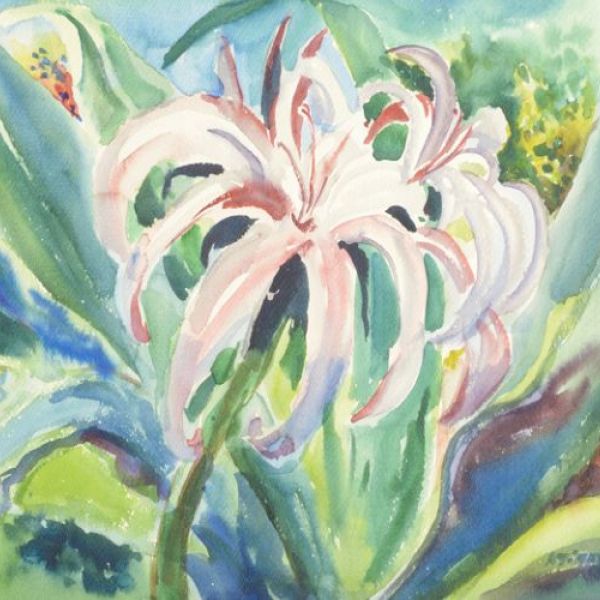 Apply for a 2025 Europeana Editorial Grant